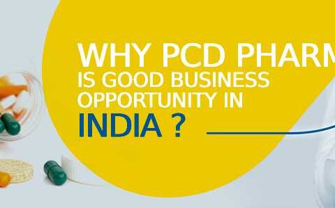 Why PCD Franchise is Good Business Opportunity in India